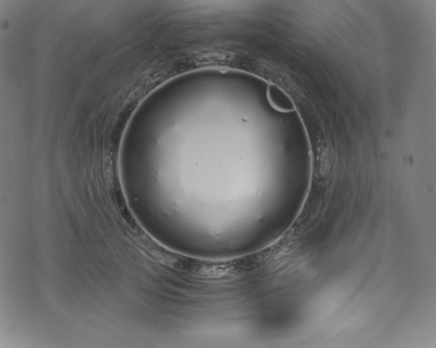 X0000076270753200610051310