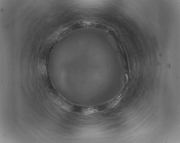 X0000076270754200610051310