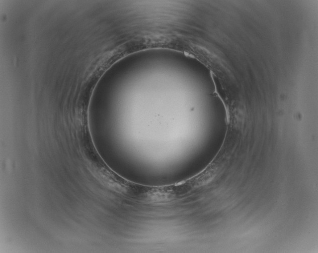 X0000076270756200610051310