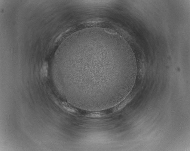 X0000076270758200610051310