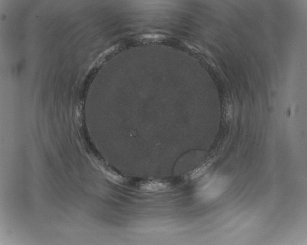 X0000076270759200610051310