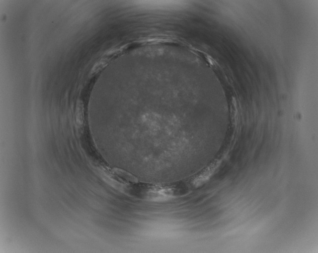 X0000076270760200610051310