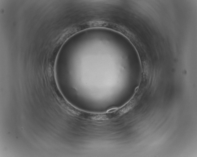 X0000076270761200610051310