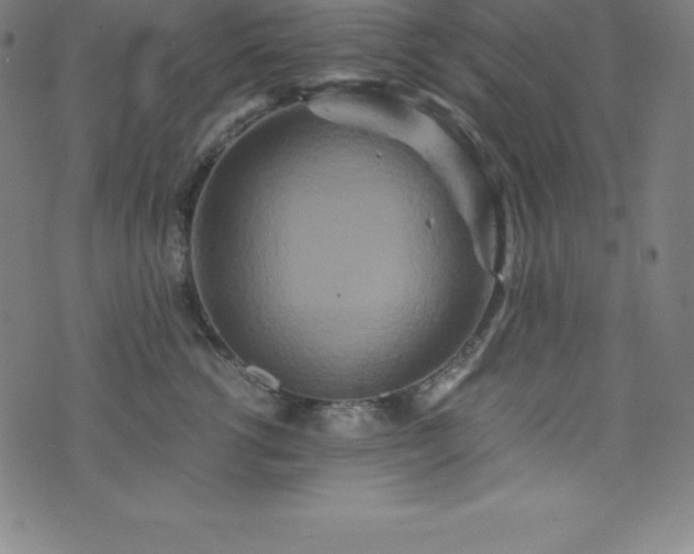 X0000076270762200610051310