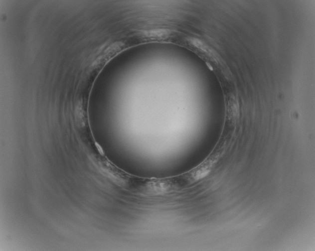 X0000076270764200610051310