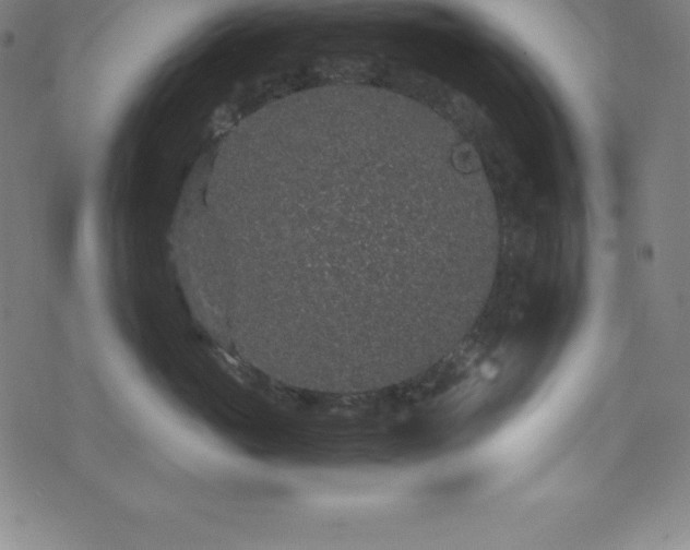 X0000076270765200610051310