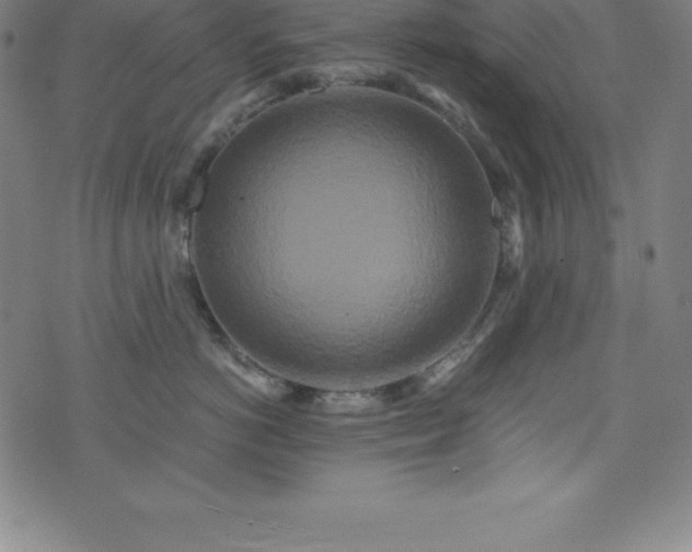 X0000076270766200610051310