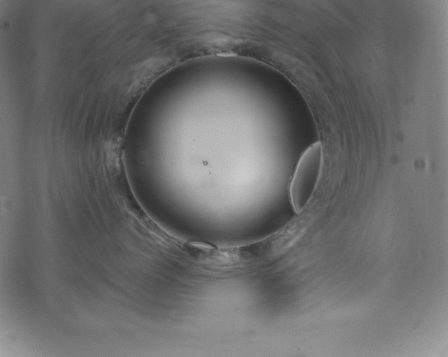 X0000076270768200610051310