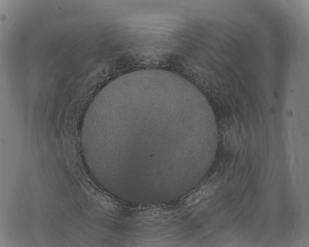 X0000076270769200610051310