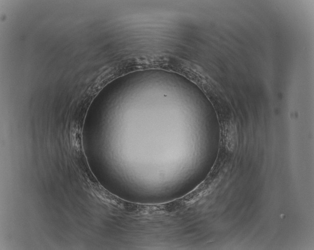 X0000076270770200610051310