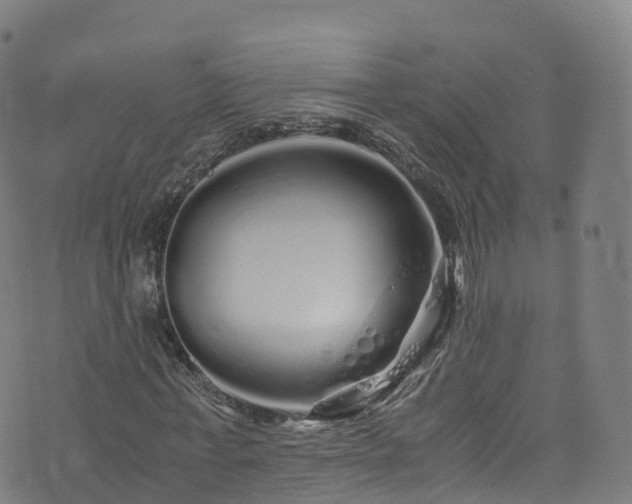 X0000076270771200610051310