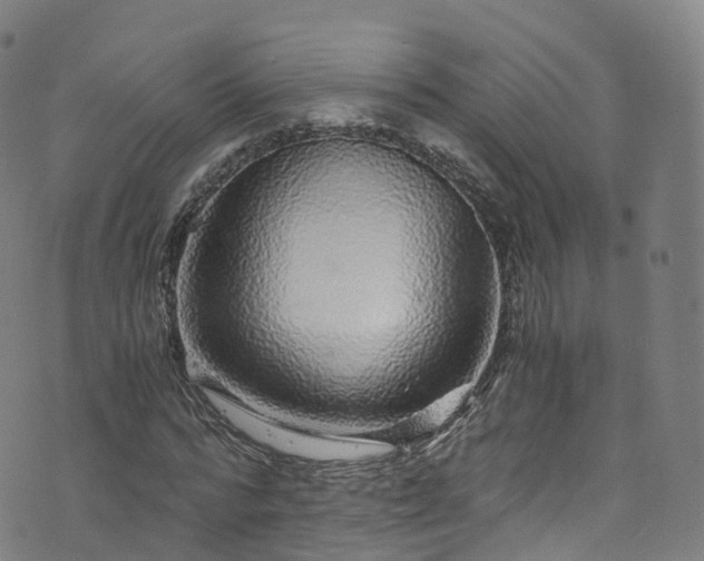 X0000076270776200610051310