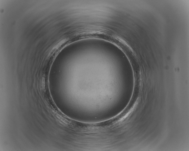 X0000076270777200610051310