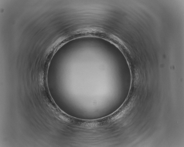 X0000076270778200610051310