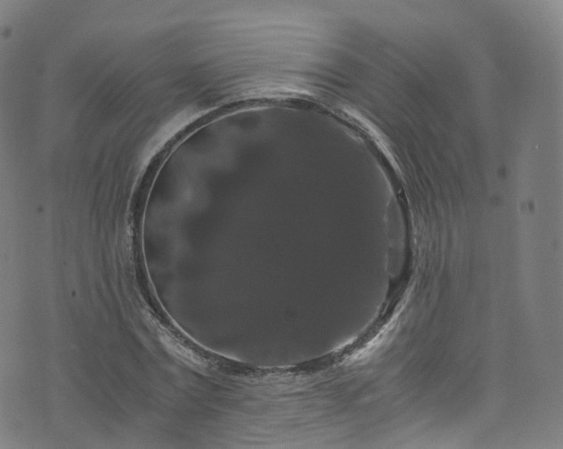 X0000076270779200610051309