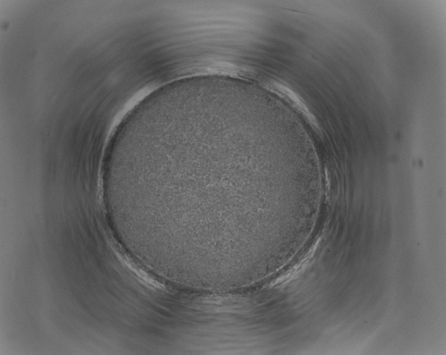 X0000076270780200610051309