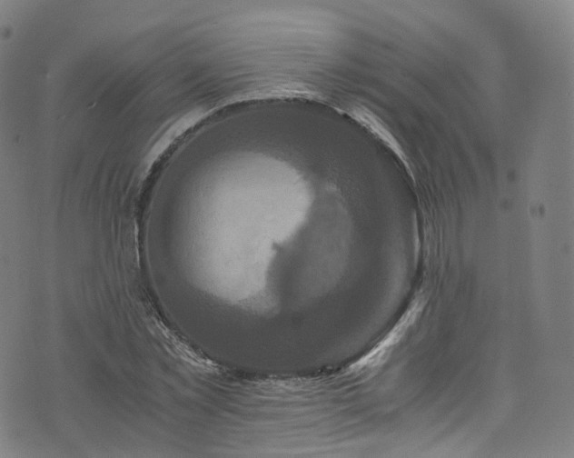 X0000076270781200610051309