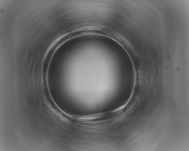 X0000076270784200610051309