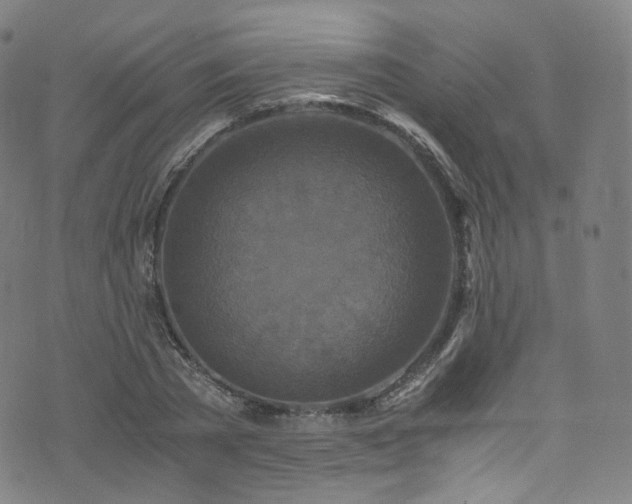 X0000076270785200610051309