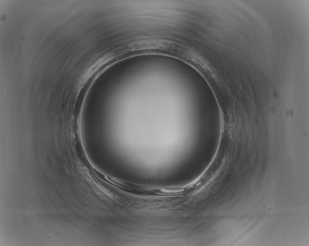 X0000076270786200610051309