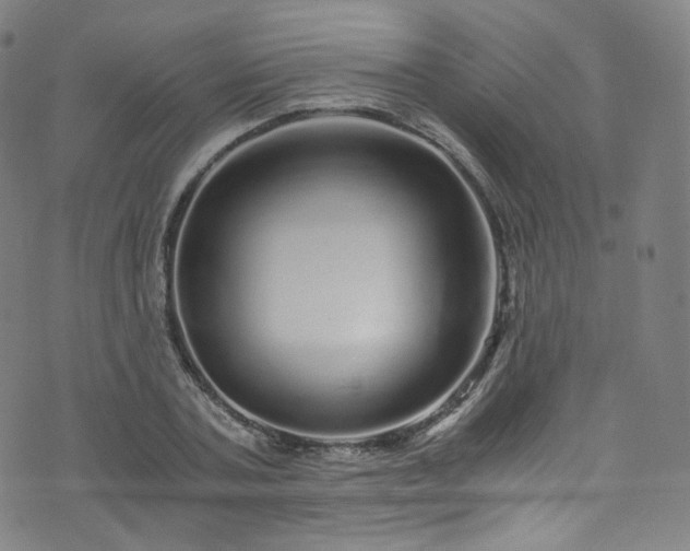 X0000076270787200610051309