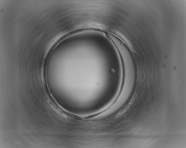 X0000076270788200610051309