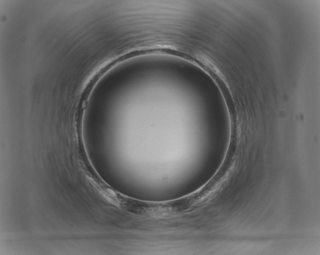 X0000076270789200610051309