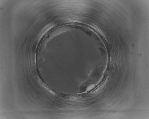 X0000076270790200610051309