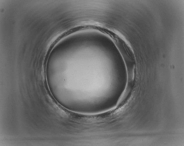 X0000076270791200610051309