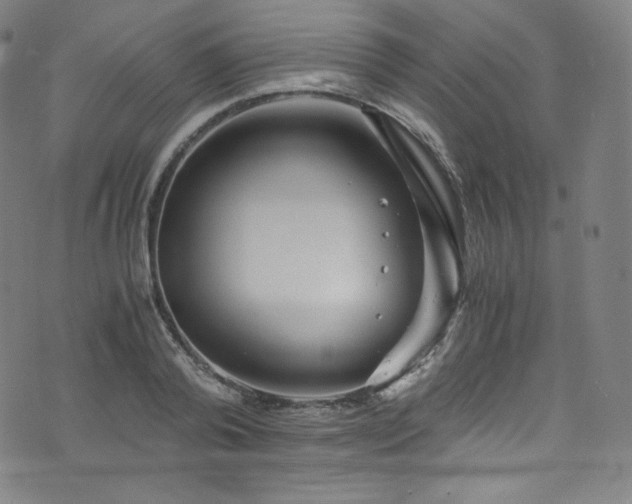 X0000076270792200610051309