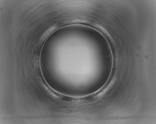 X0000076270793200610051309