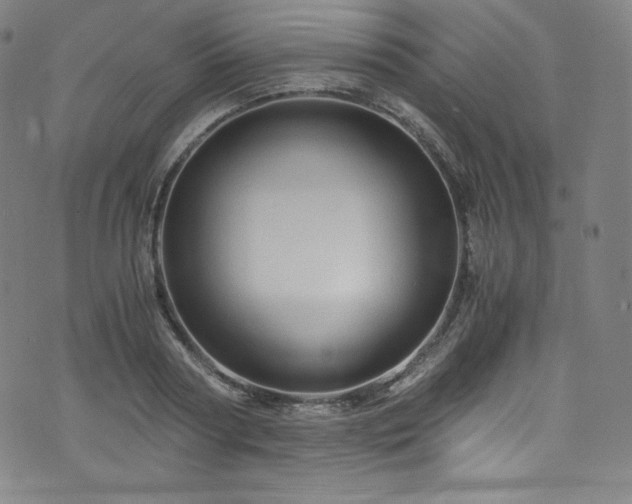 X0000076270794200610051309