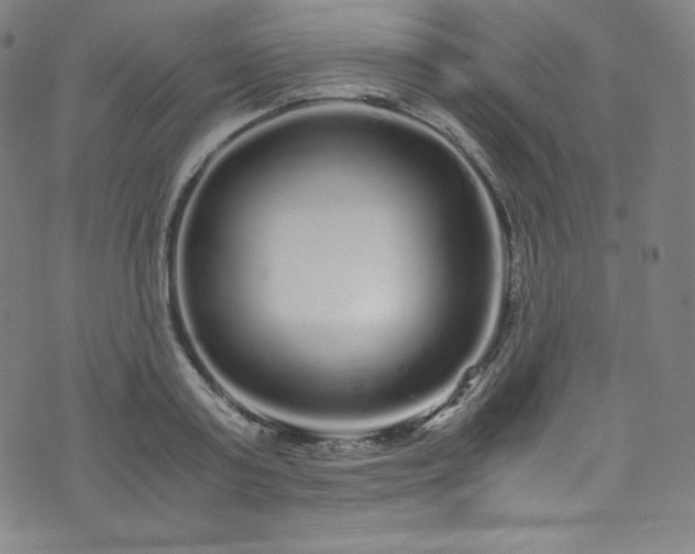 X0000076270795200610051309