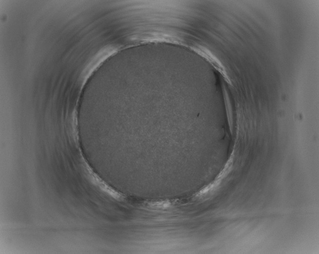 X0000076270798200610051309