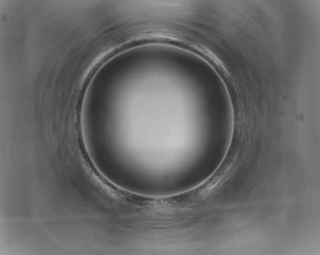 X0000076270799200610051309