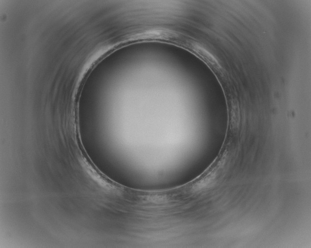 X0000076270800200610051309