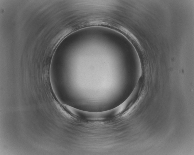 X0000076270801200610051309