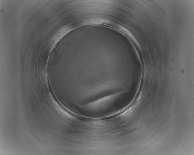 X0000076270802200610051309