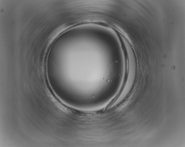 X0000076270803200610051309