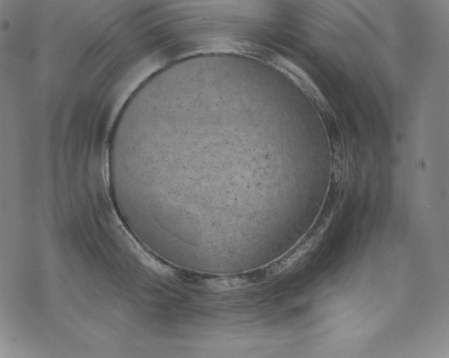 X0000076270804200610051309