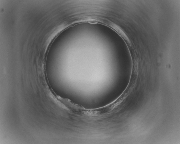 X0000076270805200610051309