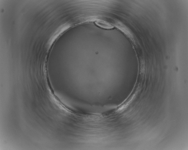 X0000076270806200610051309