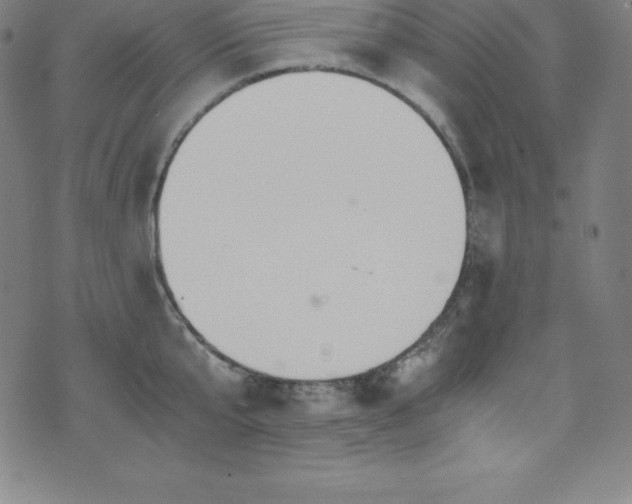 X0000076270807200610051309