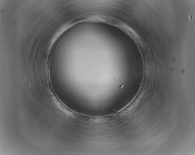 X0000076270808200610051309