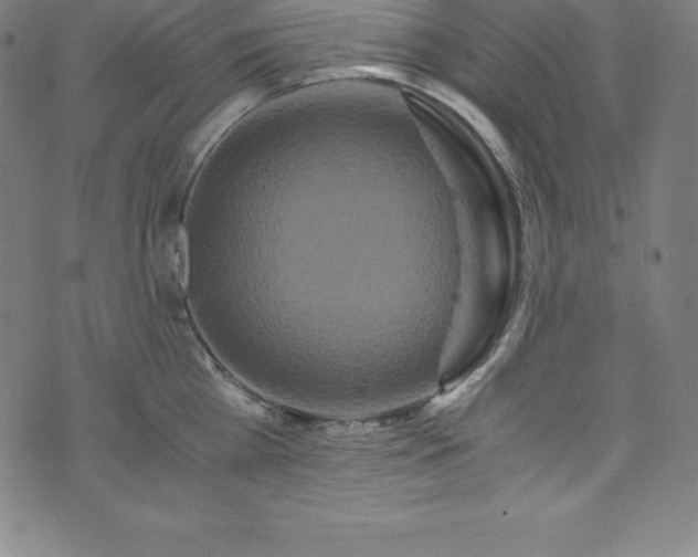 X0000076270809200610051309