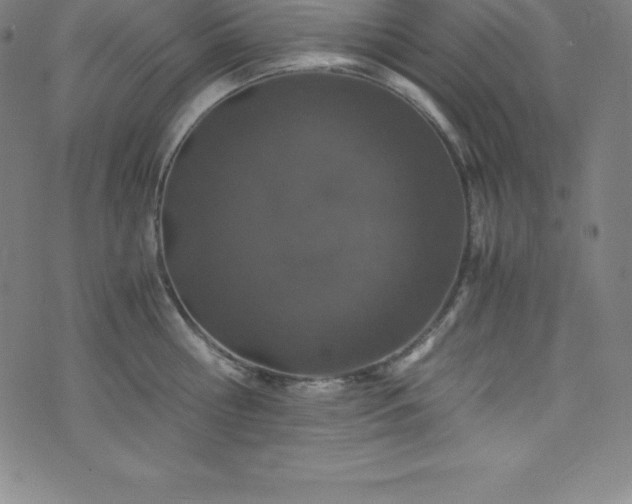 X0000076270810200610051309