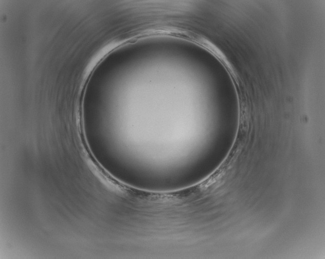 X0000076270811200610051309