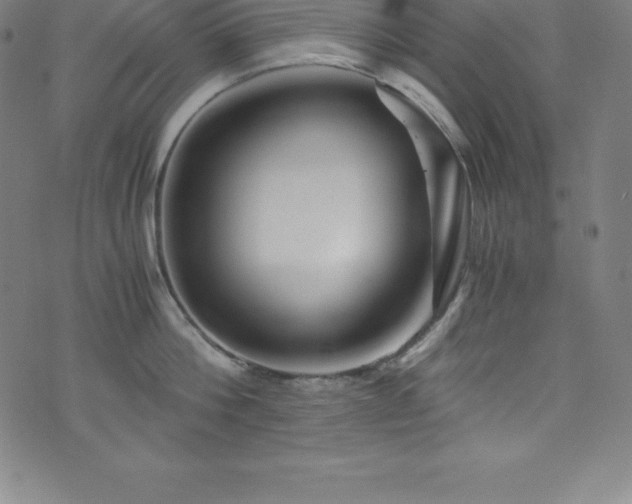 X0000076270812200610051309