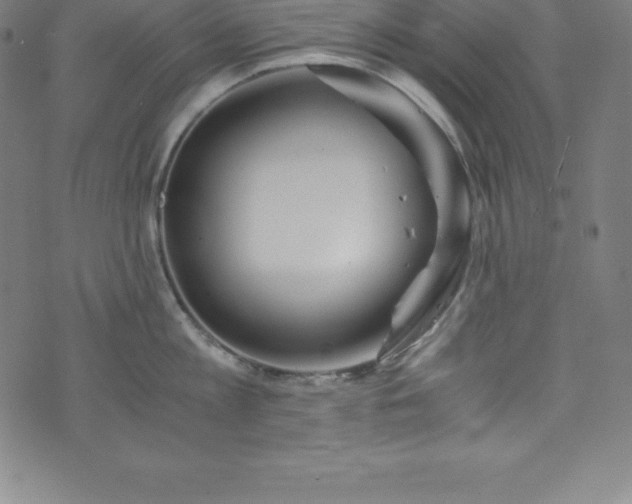 X0000076270813200610051309