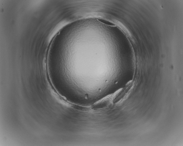 X0000076270814200610051309